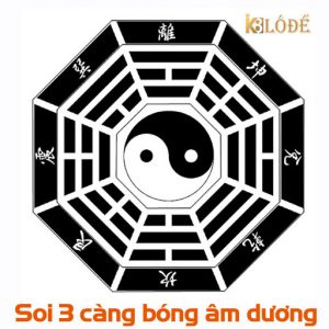 3 càng bóng âm dương